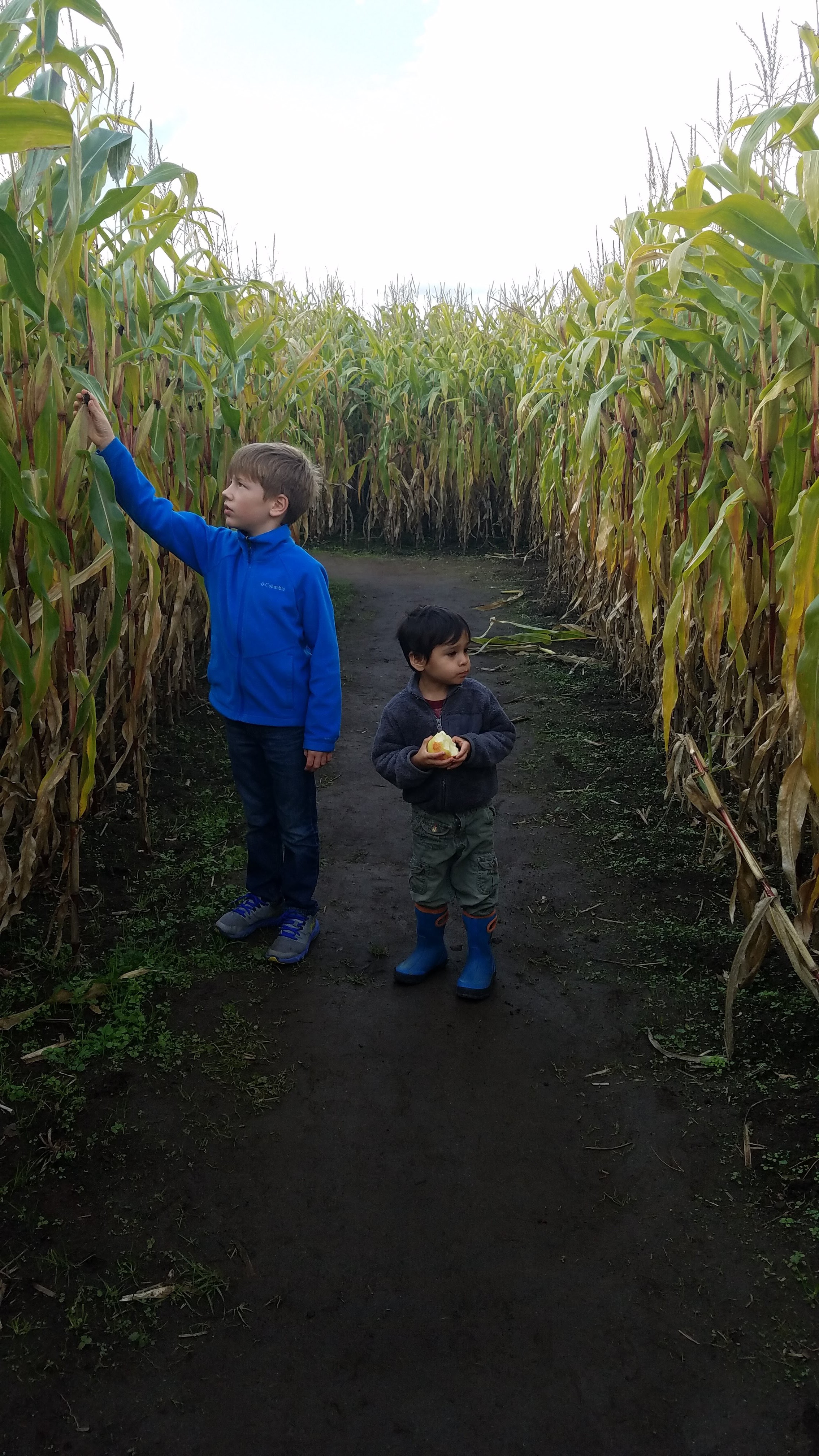 Apple picking, corn maze, fall stuff